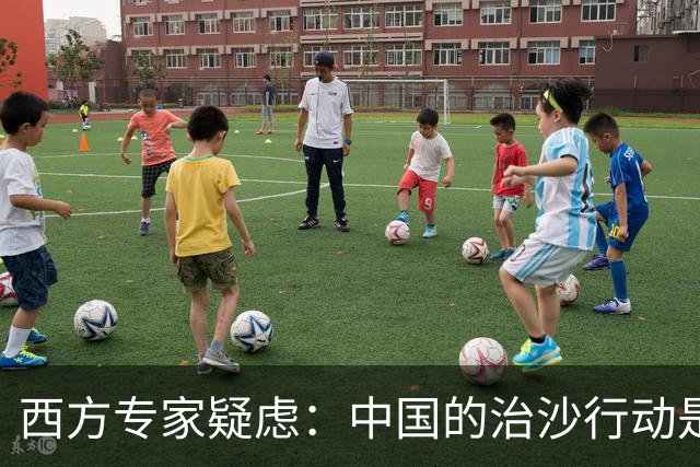 西方专家疑虑：中国的治沙行动是否合理？